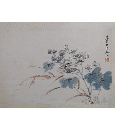 王夢白