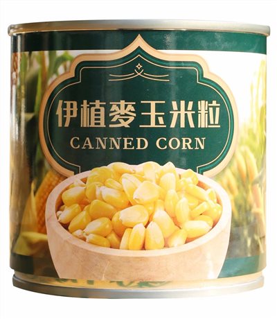 伊植麥玉米粒