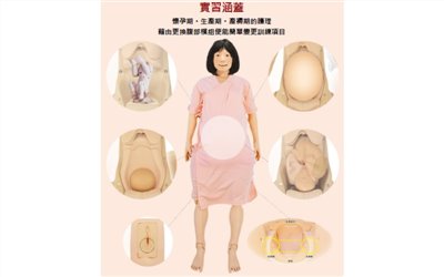 孕婦假人模型 (日本) 