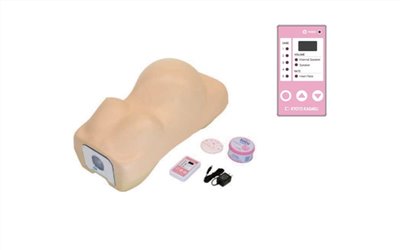  孕婦腹部觸診模型 (日本)