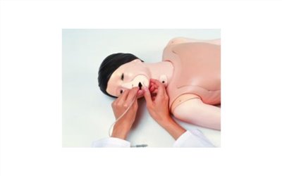 兒童萬能實習用假病人(國小1~3年級)  (日本) 
