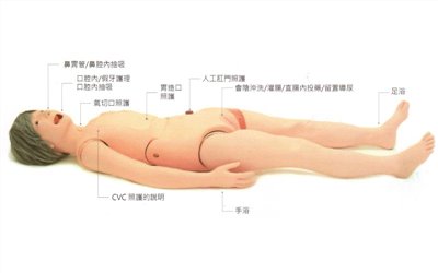 長期照護專用模擬假人(日本) 