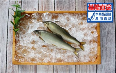 香魚