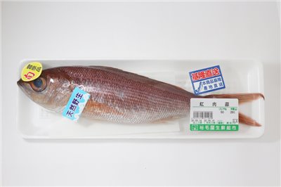 紅肉蒜