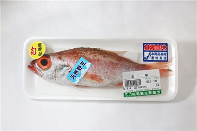 紅喉魚