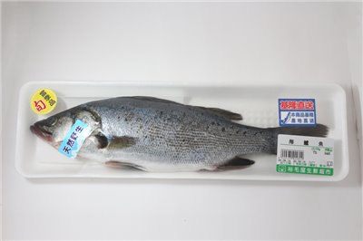 海鱸魚
