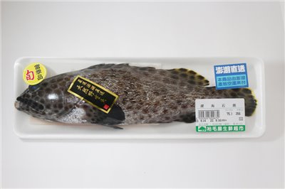深海石斑