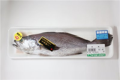 黑喉魚
