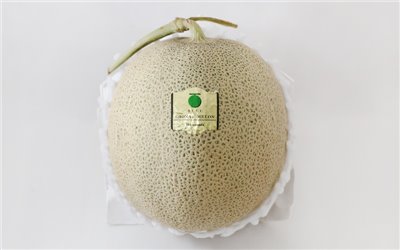 日本山形縣【庄內砂丘哈密瓜 (青肉)】 庄内砂丘メロン