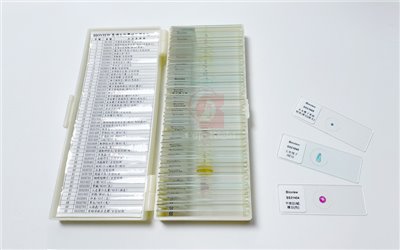 50 Prepared Microscope Slides Specimen Set Plants Insects  Animals Human Tissue Cells Samples 動植物組織學玻片
