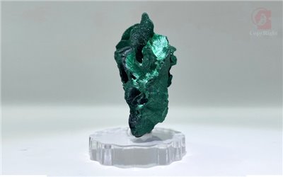剛果絲絨孔雀石,Congo Malachite,剛果孔雀石,原礦,礦石,礦物,產地剛果,具絲綢絲絨的光澤