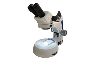 MOTIC雙眼解剖顯微鏡,MOTIC雙眼立體顯微鏡,MOTIC microscope SWIFT 30S,科展顯微鏡,學生顯微鏡,教師顯微鏡,比賽顯微鏡,專業國中實驗室設備,專業國中實驗室器材,專業國中實驗課程,專業國小實驗室設備,專業國小實驗室器材,專業國小實驗課程,專業高中實驗室設備,專業高中實驗室器材,專業高中實驗課程,學校科學實驗設備,中學科學實驗器材,小學科學實驗套組,科學實驗室設備,科學教具,實驗室耗材,科學儀器,生物實驗設備,化學實驗設備,物理實驗設備