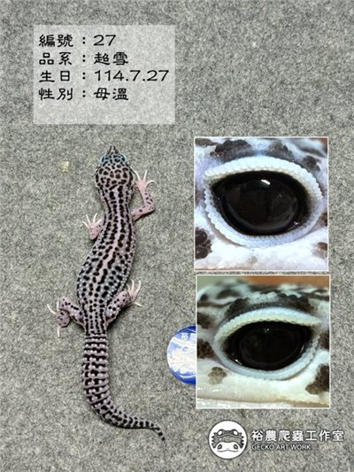 編號27