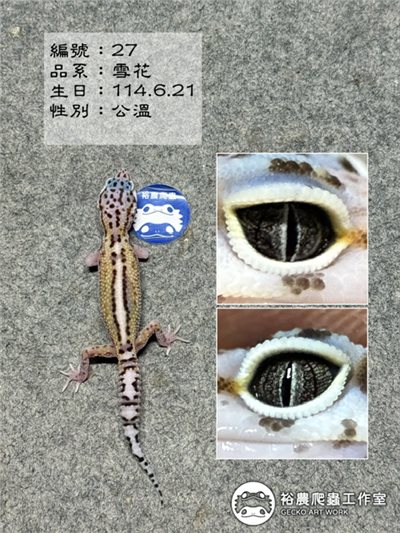 編號27