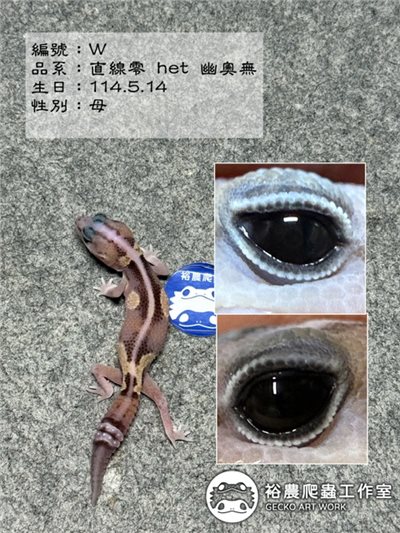編號W