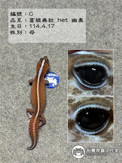編號C