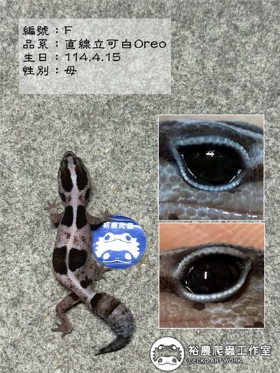 編號F
