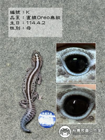 編號K