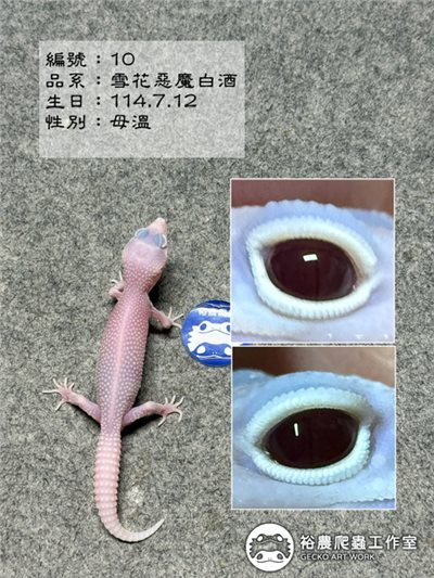 編號10