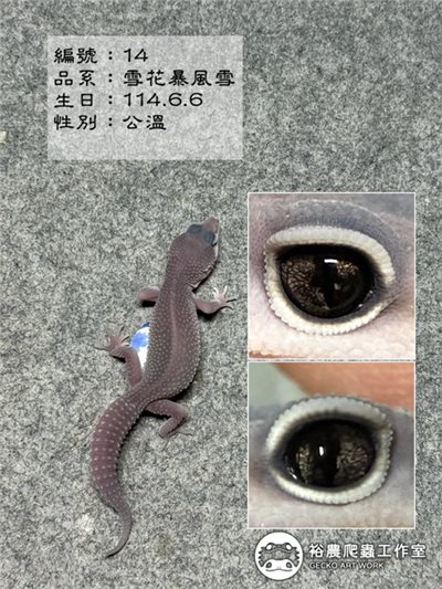 編號14