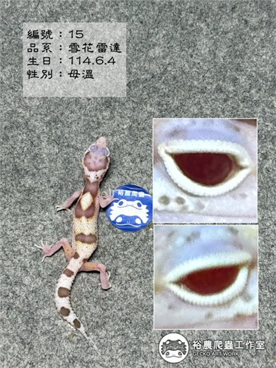 編號15