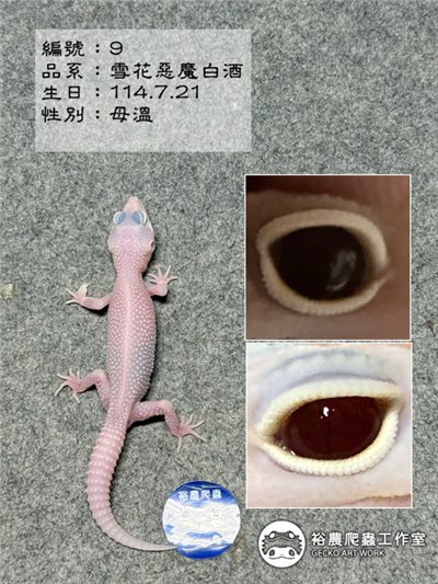 編號9