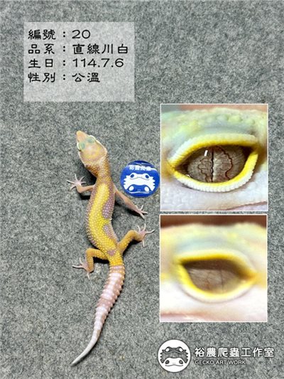 編號20