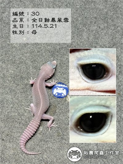 編號30