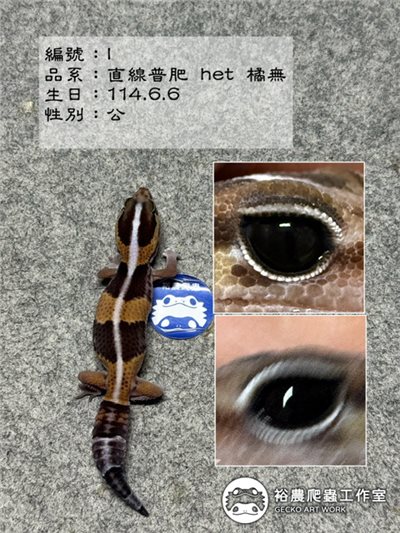 編號I