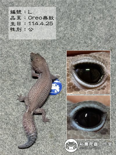 編號L