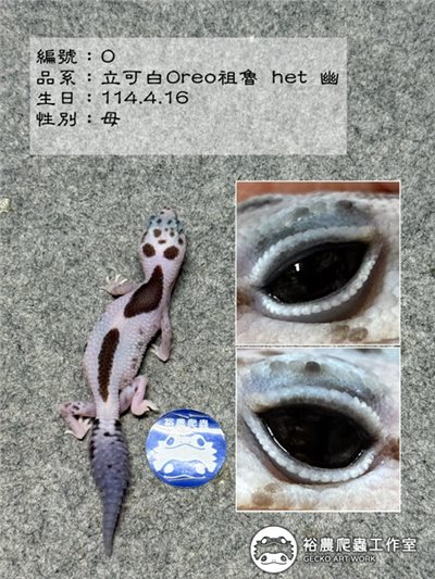 編號O