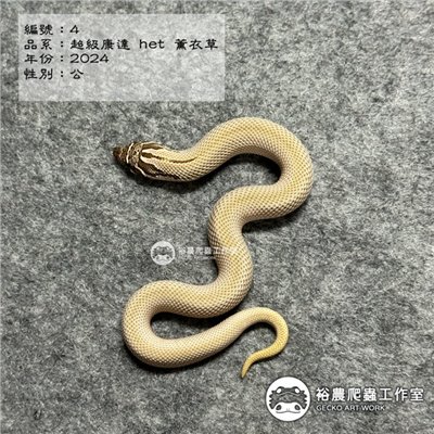 編號4
