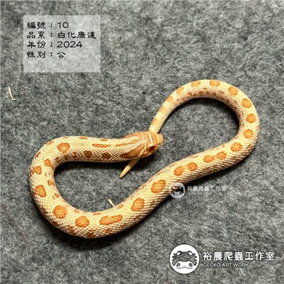 編號10