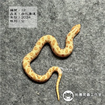 編號12