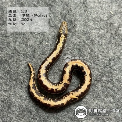 編號E3
