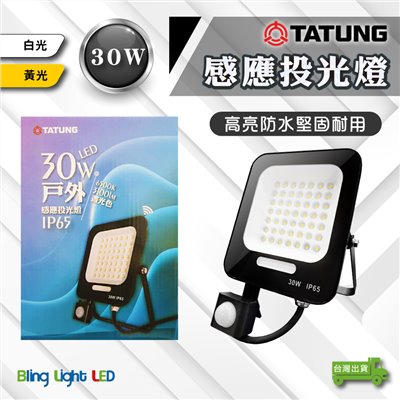 ◎大同LED 紅外線感應戶外投光燈/投射燈 30W/50W，CNS認證，全電壓
