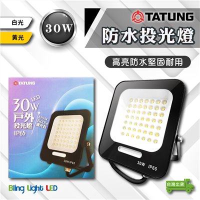 ◎大同LED 防水戶外投光燈/投射燈 30W/50W/100W，CNS認證，全電壓