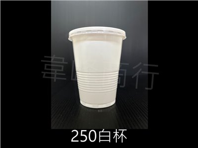 250白杯