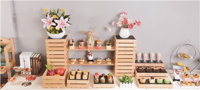 原木作多功能展示架 