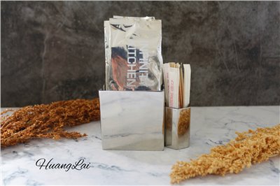 S.T 不鏽鋼雙用濕紙巾架 (鏡面) 