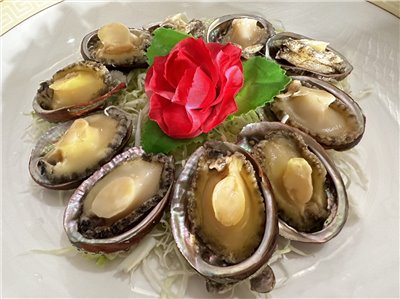 五味鮑魚
