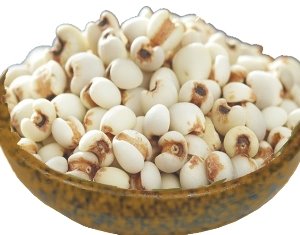 大薏仁 糯薏仁 600g  薏苡仁