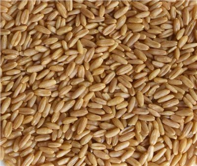 燕麥粒 600g 
