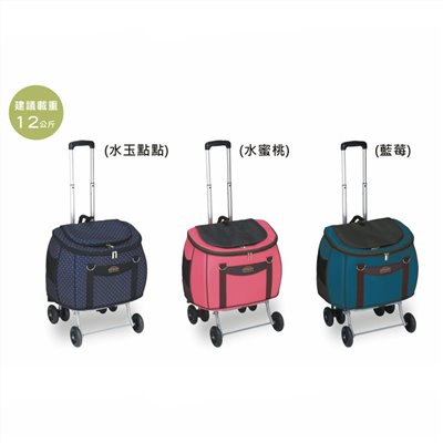【沛德奧Petstro】寵物推車-216P地平線號-加大型2代