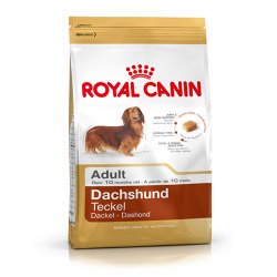 【ROYAL CANIN法國皇家】臘腸成犬DSA（1.5kg）