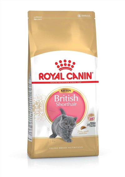 【ROYAL CANIN法國皇家】英國短毛幼貓BS38(10kg)