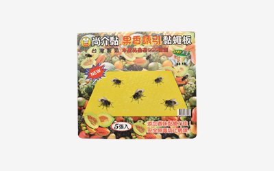 P3-1  果香捕蠅紙