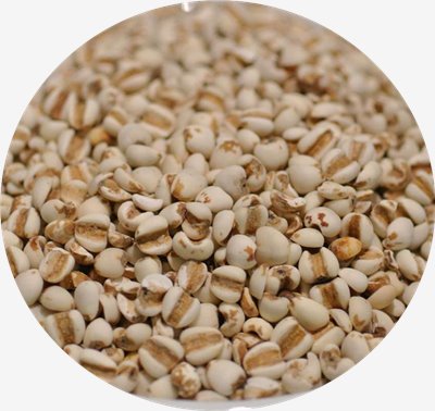 大薏仁 1kg
