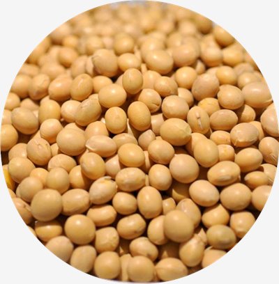 黃豆 1kg