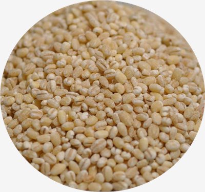 小薏仁 1kg